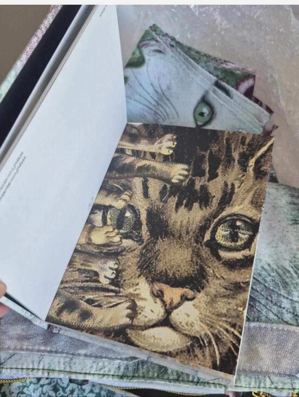 NEW♡ Cat Bag Set Bundle  By Japanese Artist